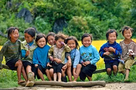 L’ONU aide le Vietnam à améliorer la sécurité alimentaire et la nutrition 