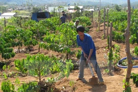 Tay Nguyen : 53 localités satisfont aux critères de la Nouvelle ruralité