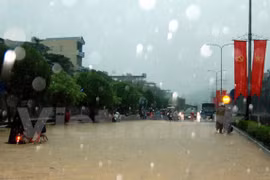 Les crues et pluies torrentielles font 15 morts à Quang Ninh