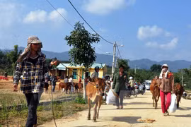 Coopération entre des districts de Quang Nam et de Sékong (Laos)