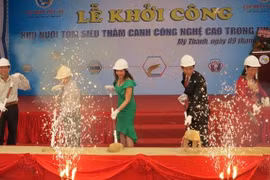 Mise en chantier d'un complexe de production de crevettes de haute qualité 