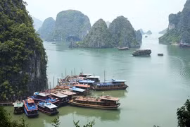 Des solutions contre la «surcharge» en haute saison de la baie de Ha Long