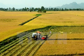 ActionAid Vietnam soutient le développement de la province de Tra Vinh