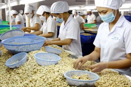 Séminaire sur les produits agricoles vietnamiens au Japon
