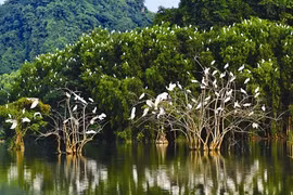 Promenade au parc ornithologique de Thung Nham