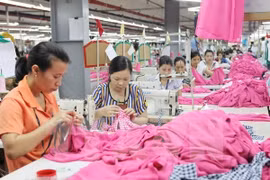 L’OIT est prête à aider le Vietnam à compléter son droit du travail