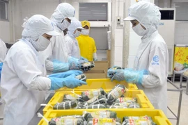 Renforcement de la connectivité entre entreprises vietnamiennes et indonésiennes