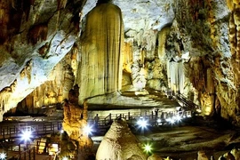 Aides allemandes pour la préservation du parc national Phong Nha-Ke Bang