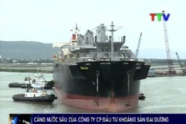 Un navire singapourien de 50.000 tonnes mouille au port en eau profonde de Nghi Son