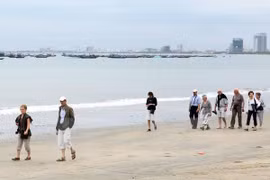 Forte hausse du nombre de touristes à Da Nang 