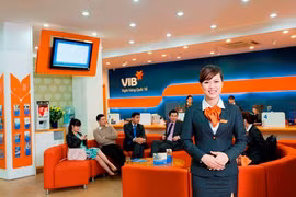 La VIB élue "Banque de l’année 2015"