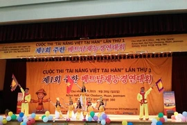 La 3e fête culturelle du Vietnam en République de Corée 