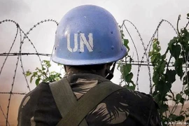 Maintien de la paix de l'ONU : Vietnam et Chine partagent des expériences