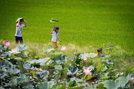 Vietnam - Pays-Bas : coopération entre la province de Dông Tháp et la ville d’Emmen