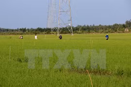 Japon et Vietnam s’engagent à promouvoir leur coopération agricole