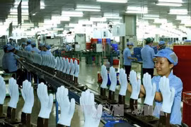 Binh Duong : l’attrait de l’IDE dépasse 47,7% du plan annuel