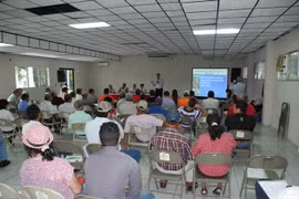 Le Panama souhaite coopérer avec le Vietnam dans la riziculture