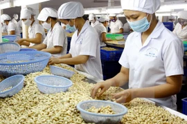 Baisse des exportations de produits agricoles et aquatiques en huit mois