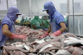 Can Tho cible 11 milliards d’USD d'exportations et services entre 2016 et 2020