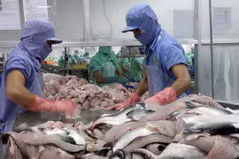 Can Tho cible 11 milliards d’USD d'exportations et services entre 2016 et 2020