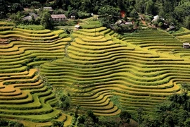 Ouverture de la Semaine culturelle et touristique des rizières en terrasses de Hoàng Su Phi 