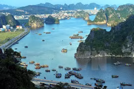 23 nouvelles grottes découvertes dans la Baie de Ha Long et de Bai Tu Long