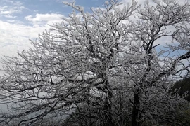 Il y aura peu de jours très froids cet hiver