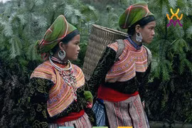 Une Semaine de musée dédiée aux femmes vietnamiennes