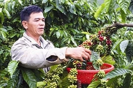Gia Lai vise une réduction rapide et durable de son taux de pauvreté