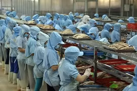 Hô Chi Minh-Ville vise 500.000 entreprises en 2020