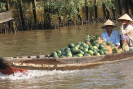 Fête touristique du marché flottant de Cai Rang