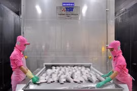 De nombreux potentiels pour les investisseurs vietnamiens en Asie centrale