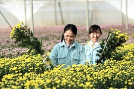 Développer l’agriculture high-tech au service de la modernisation de l’agriculture