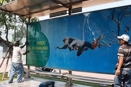 Dà Nang : une campagne de protection des doucs sur les abribus