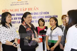 Législatives : 23,45% des candidats issus des minorités ethniques