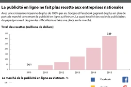 La publicité en ligne ne fait plus recette aux entreprises nationales 