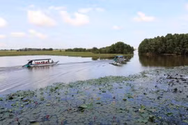 90 milliards de dôngs pour développer le tourisme durable dans le parc national de Tràm Chim