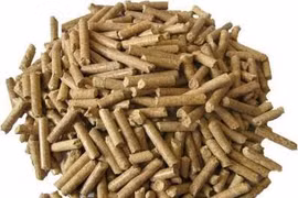 Thua Thiên-Huê : 106 milliards de dôngs pour une usine de production de granulés énergétiques 