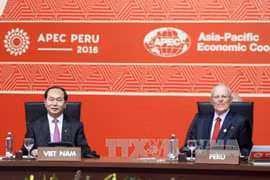 Clôture du 24e Sommet de l’APEC