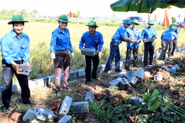 Bientôt la campagne d’été des jeunes volontaires 2016