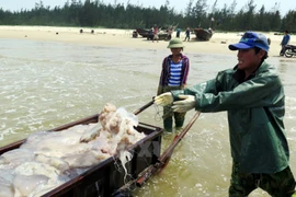 Des pêcheurs du Centre soutenus suite à l'hécatombe de poissons 