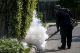 Zika : les autorités sanitaires de Thaïlande rassurent la population