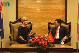 AMM-49: Renforcement des relations diplomatiques entre le Vietnam et des pays 