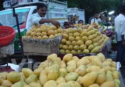 Les Etats-Unis vont autoriser l'importation de mangues du Vietnam 