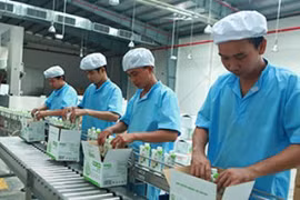 La coco de Bên Tre expédiée à l’étranger