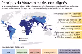 Principes du Mouvement des non-alignés