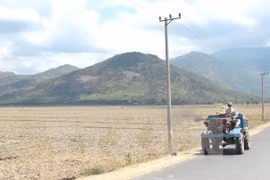 La BM soutient l'adaptation au changement climatique et la croissance verte au Vietnam