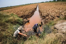 Sécheresse : optimisme prudent quant à l'ouverture d'un barrage par la Chine