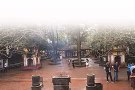 Pagode de Côn Son, un charme intemporel