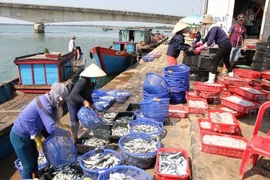 L'assistance opportune aux personnes touchées par l'hécatombe de poissons